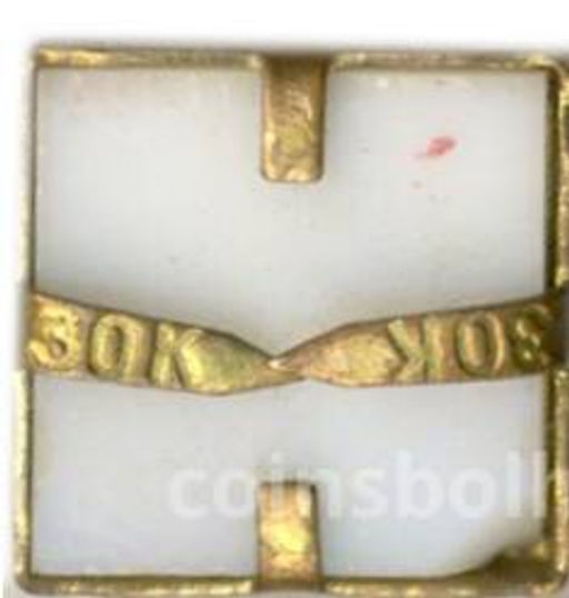 Значок В.И.Ленин