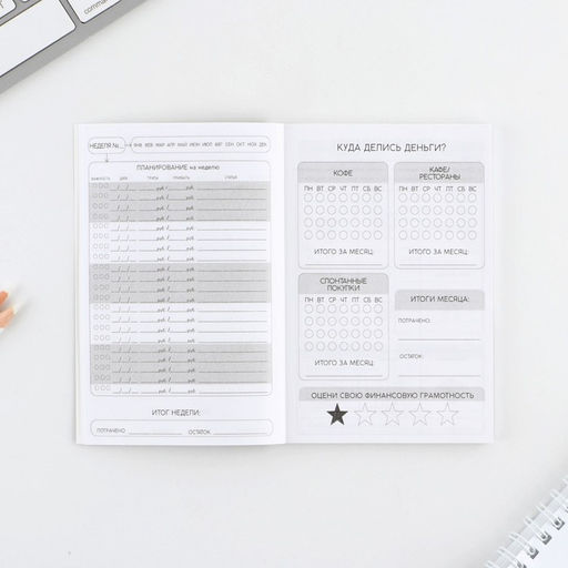 Цена за 2 шт. Блокнот для планирования финансов А6, 52 листа «Кот»