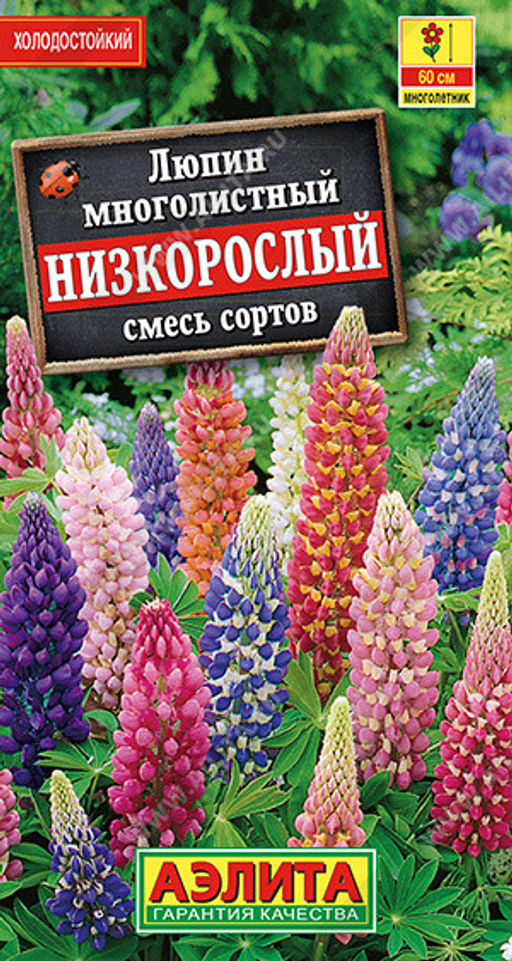 1590A Люпин Низкорослый, смесь сортов 15шт