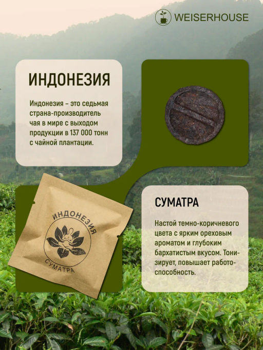 Подарочный Набор Крафтовый чай Ассорти 10-12гр, 1 уп. Х 8 шт. - Weiserhouse фото 12