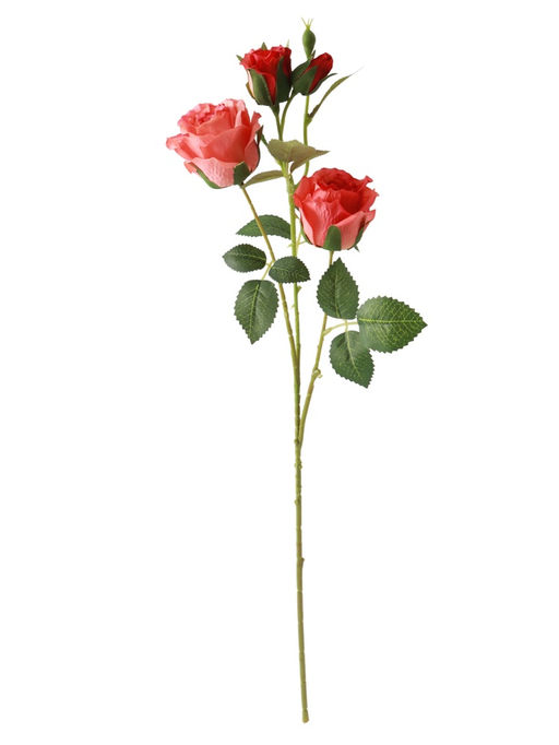 Цветы искусственные "Роза Августина галант" d-6 см 55 см, персиковый