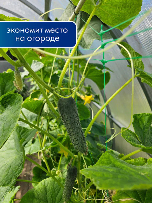 Цена за 2 шт. Сетка шпалерная для огурцов 2*5м Ф-190/2/5 (Лесной зеленый) - Протэкт-регион фото 3