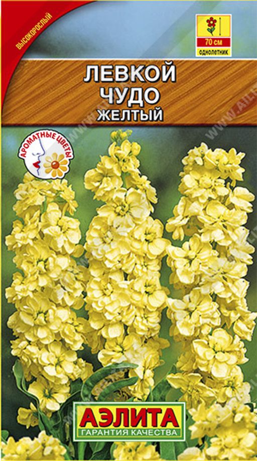 Левкой высокорослый Чудо желтый