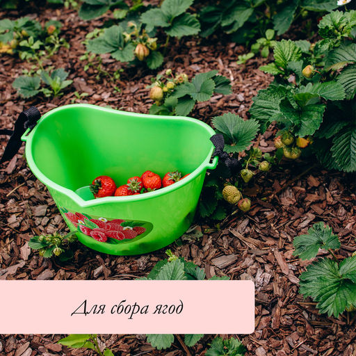 Цена за 2 шт. Ёмкость для сбора ягод, 3 л, «Малина»