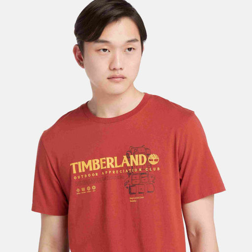 Мужская футболка Timberland T-Shirt Graphic оранжевая фото 2
