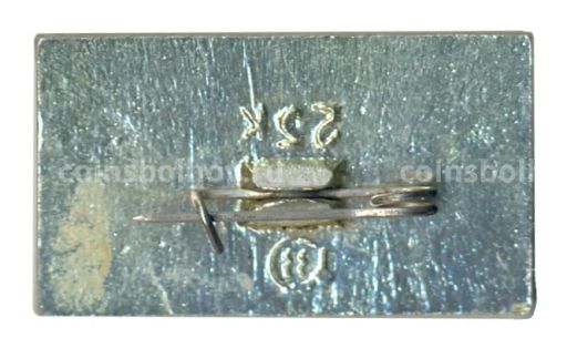 Значок Ясная Поляна