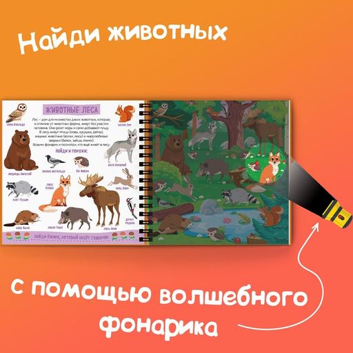 Секретная книга с волшебным фонариком Зооленд, 22 стр. - Буква-Ленд фото 5