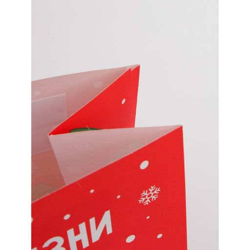 Набор пакетов новогодних крафтовых 5 штук «С Новым годом тебя!», 21 × 12 × 9 см