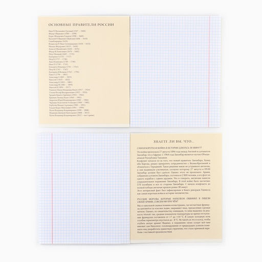 Тетрадь в клетку, предметная, 48 л., на скрепке, А5 «Силуэт. История»