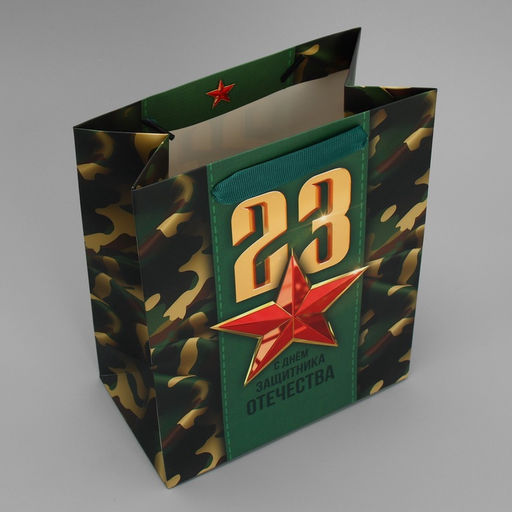 Цена за 2 шт. Пакет подарочный ламинированный, упаковка, «С 23 февраля», MS 18×23×10 см