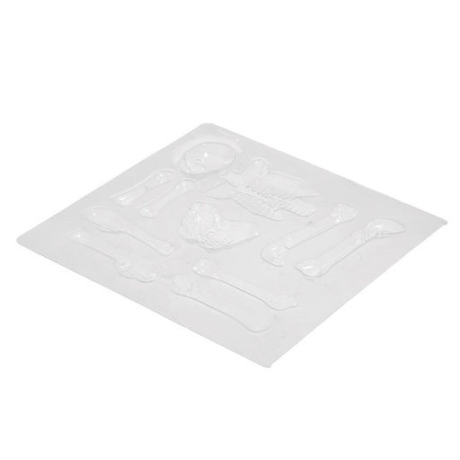 Набор для опытов «Наука твоего тела», 10 опытов