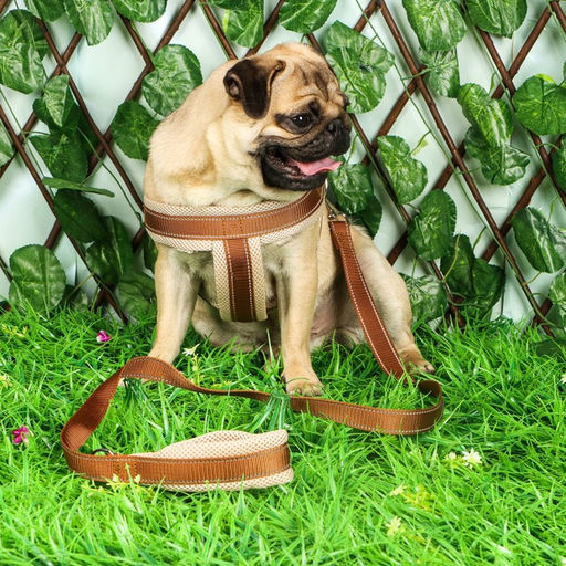 Комплект амуниции светоотражающий с мягкими шлейкой и ручкой, поводок 120 х 2 см, ОШ 46-69 см, корич - Пижон фото 9