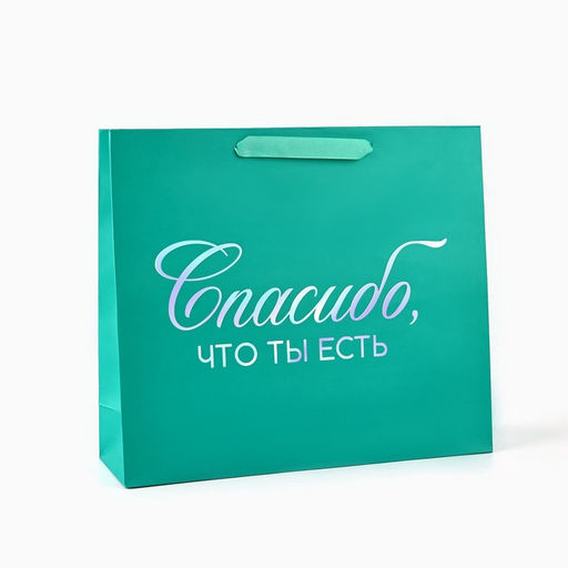 Пакет подарочный «Спасибо, что ты есть», голография, M 30×9×26 см
