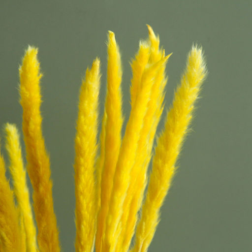 Сухоцвет Камыш набор 15 шт, цвет оранжевый - Simaland фото 2