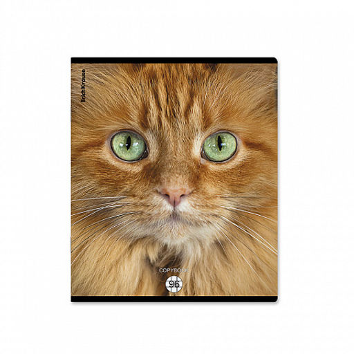 Цена за 5 шт. Тетрадь общая ученическая ErichKrause Cats, 96 листов, клетка, матовая ламинация_MIX-PACK фото 7