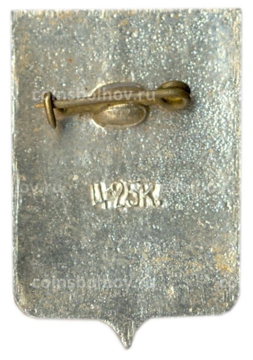 Значок Старая Русса