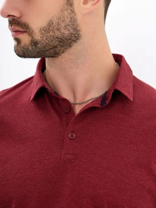 Джемпер мужской с воротником поло GREG G155-PM14T-LT7326 (бордо)  фото 2