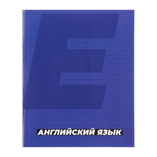 Набор предметных тетрадей Calligrata. MonoTone, 10 предметов, 36 листов, со справочным материалом, серые листы, обложка из мелованной бумаги