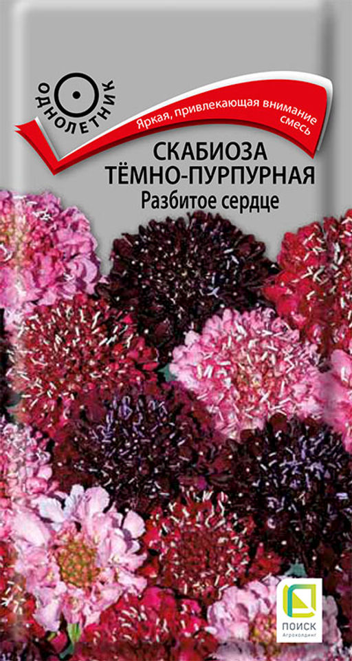 Скабиоза темно-пурпурная Разбитое сердце (ЦВ) (1) 10шт - Поиск фото 2