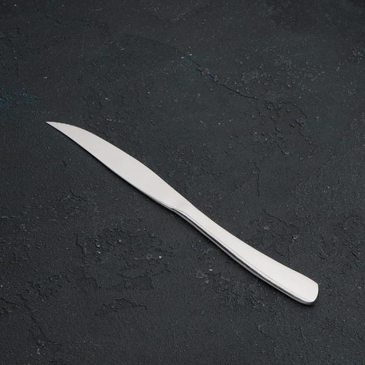 Нож для стейка Magistro «Эми», длина 23 см, нержавеющая сталь, серебристый