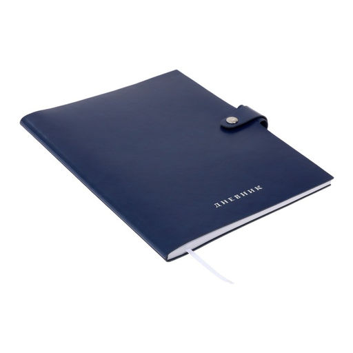 Дневник школьный для 1-11 классов Favorite, мягкая обложка, на кнопке, искусственная кожа, тиснение фольгой, хлястик, ляссе, 48 листов