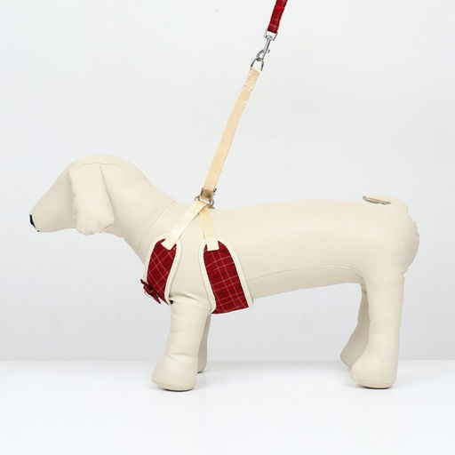 Комплект с мягкой шлейкой Клетки, размер L, поводок 120 х 1,5 см, ОГ 42-76 см, красный - Пижон фото 2