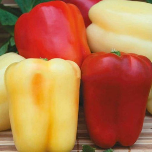 5068D Перец сладкий Соломон Агро 5шт