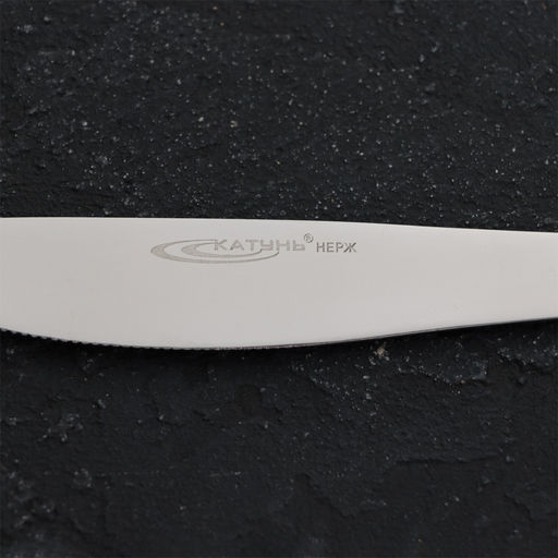 Нож столовый 10шт. КЛАССИКА 4,0мм, 22 см арт. КТ-124-НС-1