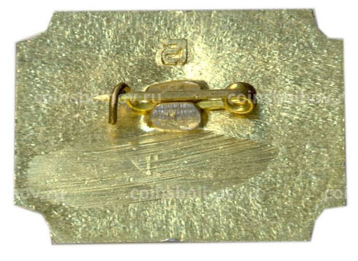 Значок Санкт-Петербург  дворец -музей А.Д.Меншикова