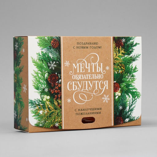 Цена за 2 шт. Коробка подарочная новогодняя складная «Мечты сбудутся», 16.5 х 12 х 5 см, БЕЗ ЛЕНТЫ