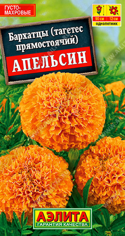 Бархатцы Апельсин прямостоячие (2027)