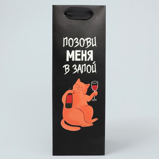 Цена за 2 шт. Пакет подарочный, упаковка «В запой», 9×25×8.5 см