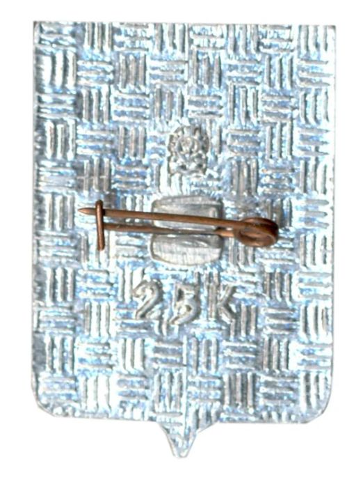 Значок Чебоксары