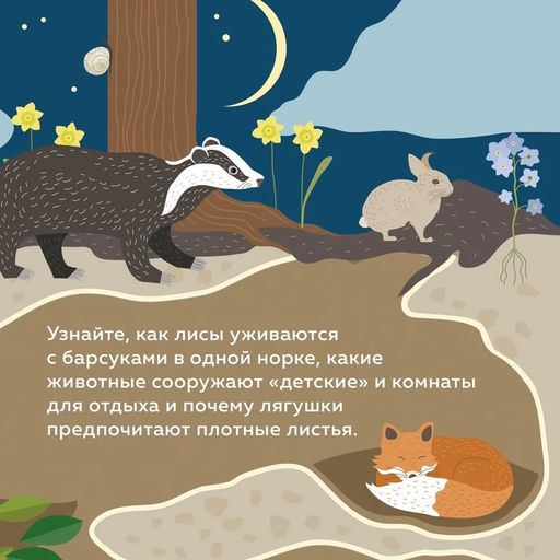 Что внутри? Как устроены дома животных. Банфи К., Перабони К. - Издательство махаон фото 2