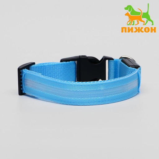 Ошейник с подсветкой размер S, ОШ 35-43 х 2,5 см, 3 режима свечения голубой
