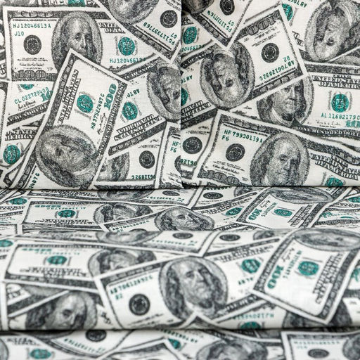 Постельное бельё Этель дуэт Cash 143х215 см 2 шт, 220х240 см, 70х70 см -2 шт, бязь 125 г/м2  фото 2