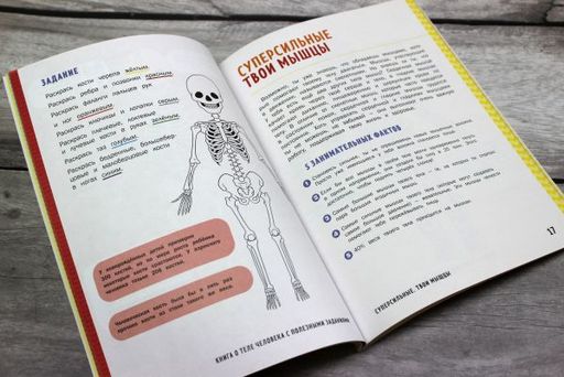 Книга о теле человека с полезными заданиями и упражнениями - Эксмо фото 10