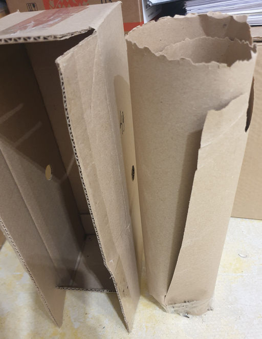 Рододендрон Фантастика