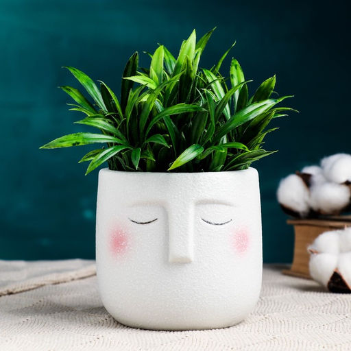 Горшок для цветов «Мистер» керамический, 600 мл, d=8.5 см, 10×9.5 см, белый