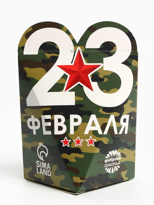 Чай подарочный 23 февраля, вкус: апельсин и корица, 50 г