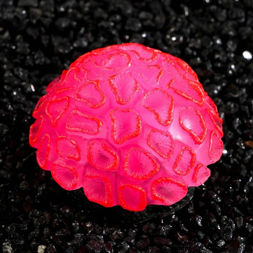 Декор для аквариума коралл Faviidae, 5 х 2,5 см, силиконовый, розовый - Simaland фото 3