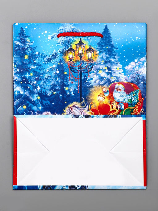 Цена за 6 шт. Пакет подарочный новогодний ламинированный, «На встречу Новому Году», 18×10×22.3 см