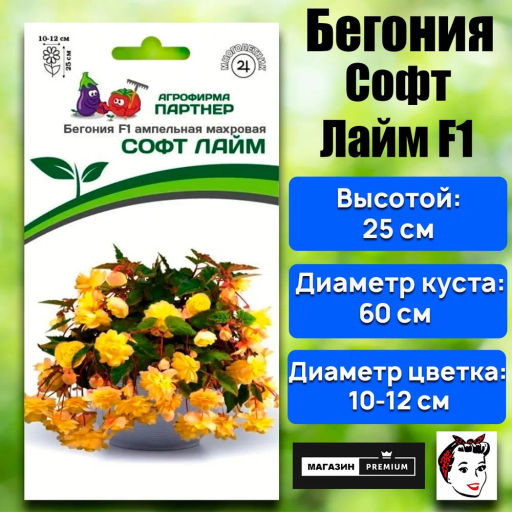 Бегония клубневидная ампельная махровая Софт Лайм - Партнер фото 2