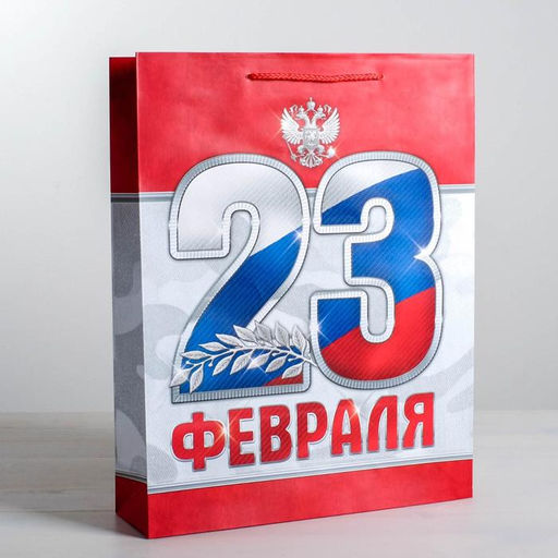 Цена за 2 шт. Пакет подарочный ламинированный, упаковка, «23 февраля!», S 12×15×5.5 см