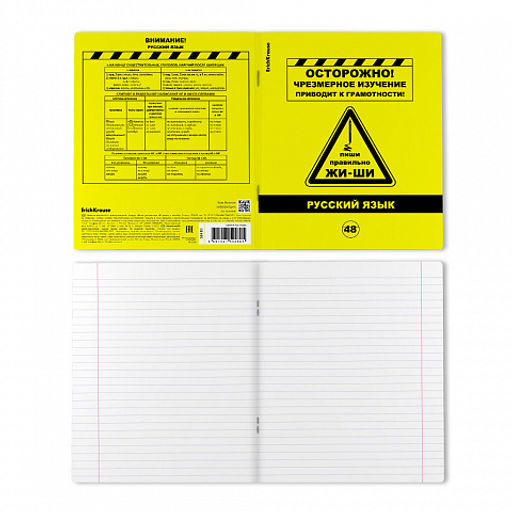 Цена за 5 шт. Тетрадь общая ученическая с пластиковой обложкой на скобе ErichKrause Be Informed, Русский язык, 48 листов, линейка  фото 2