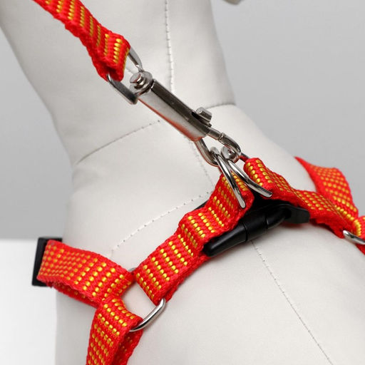 Комплект амуниции рельефный, поводок 120 х 1,5 см, ОГ 36-49 см, красно-жёлтый - Пижон фото 9