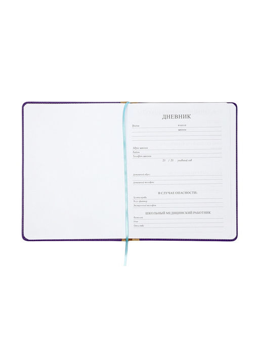 Дневник школьный 1-11 класс, лассе, обложка искуственная кожа, с резинкой для ручки