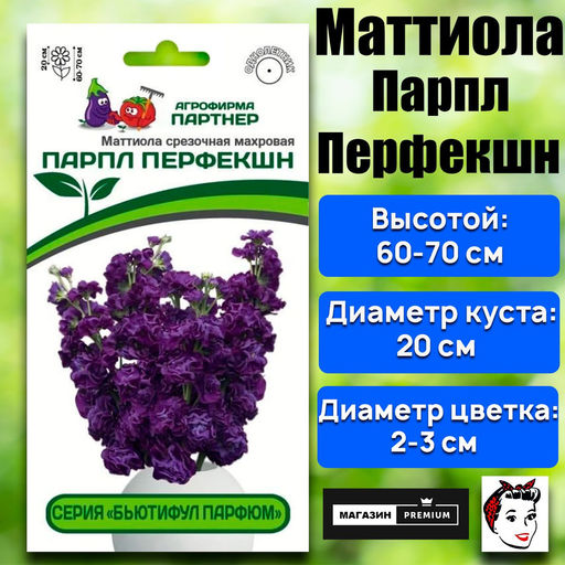 3324P Маттиола срезочная махровая "Бьютифул Парфюм" ПАРПЛ ПЕРФЕКШН 10шт
