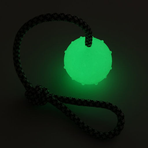 Игрушка для собак Луна, светящаяся в темноте, на канате, 6 см - Пижон фото 2