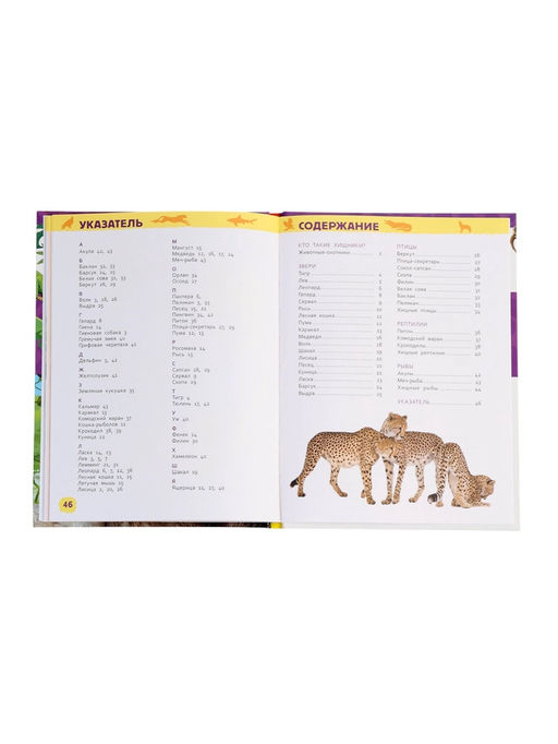Цена за 2 шт. Детская энциклопедия «Дикие животные», 48 стр.